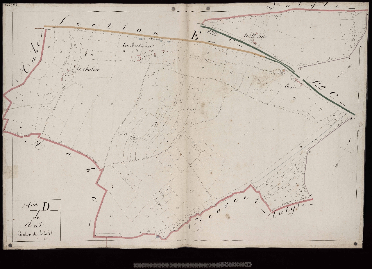 Section D