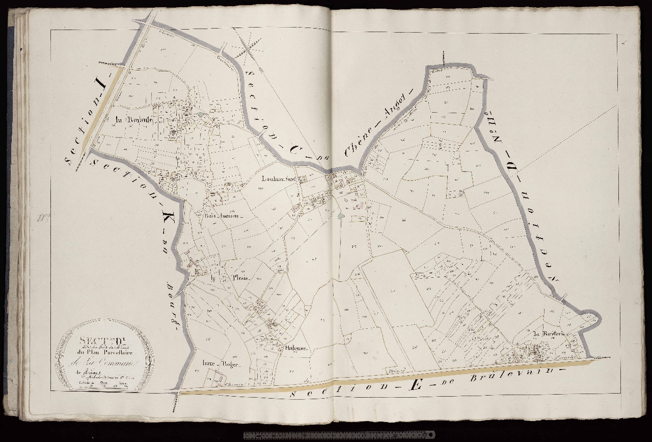 Section D1