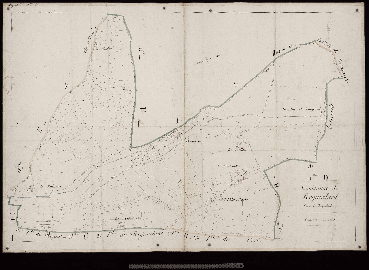 Section D