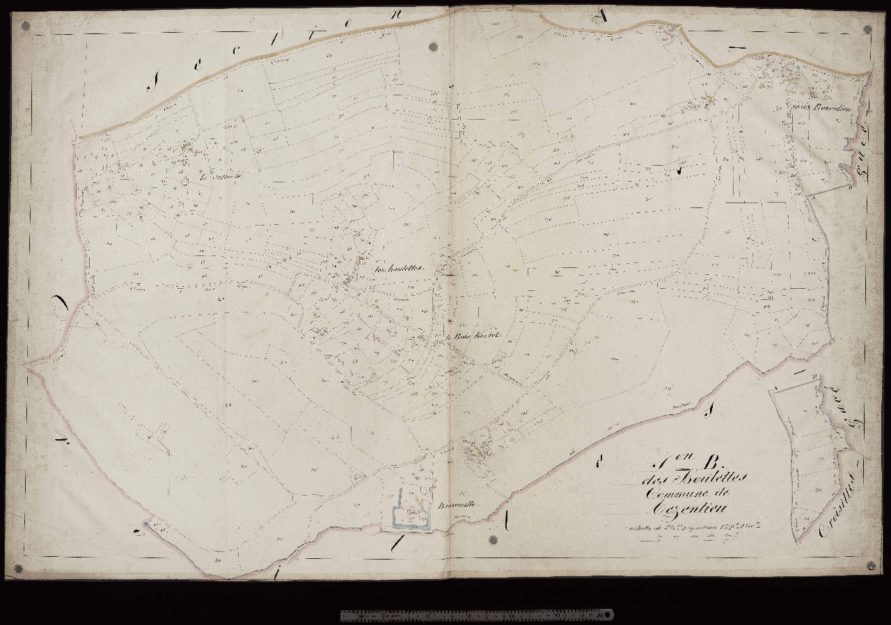 Section B