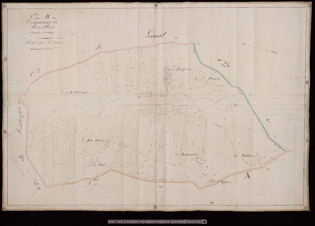 Section B