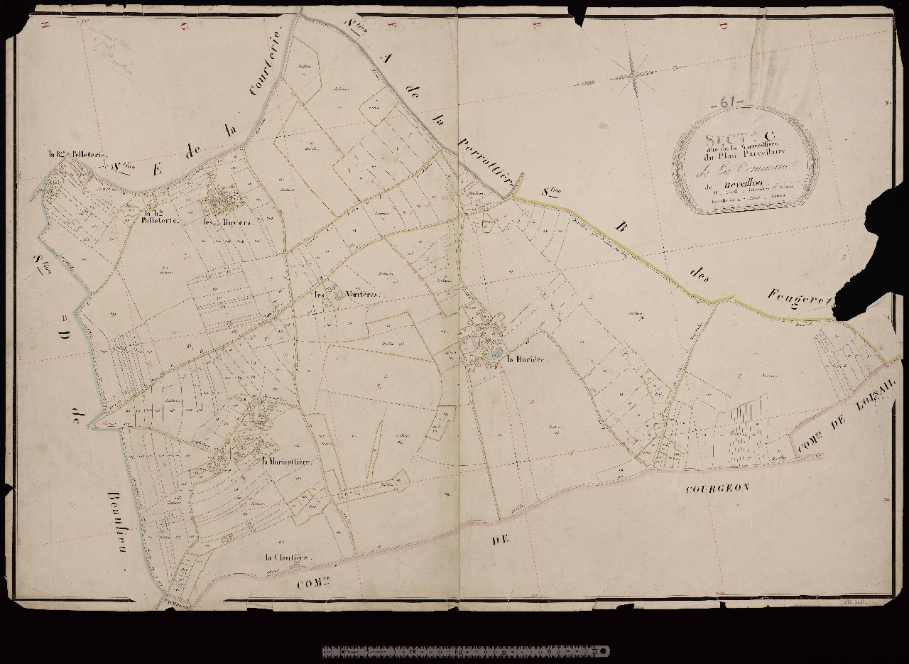Section C