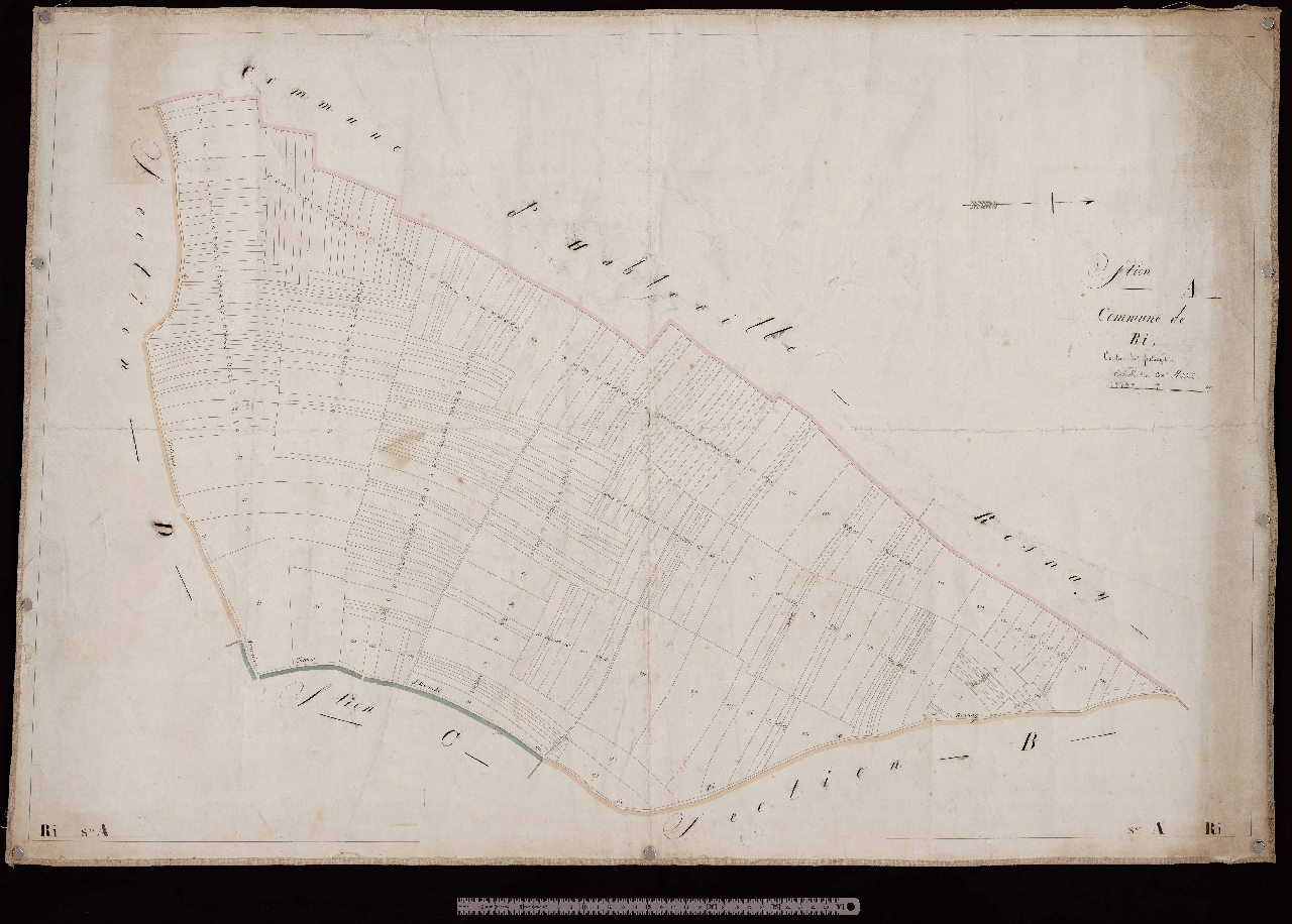 Section A