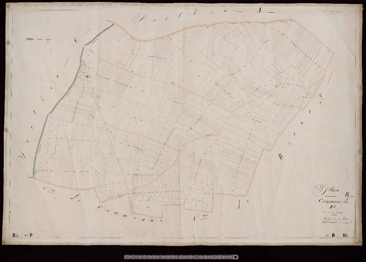 Section B