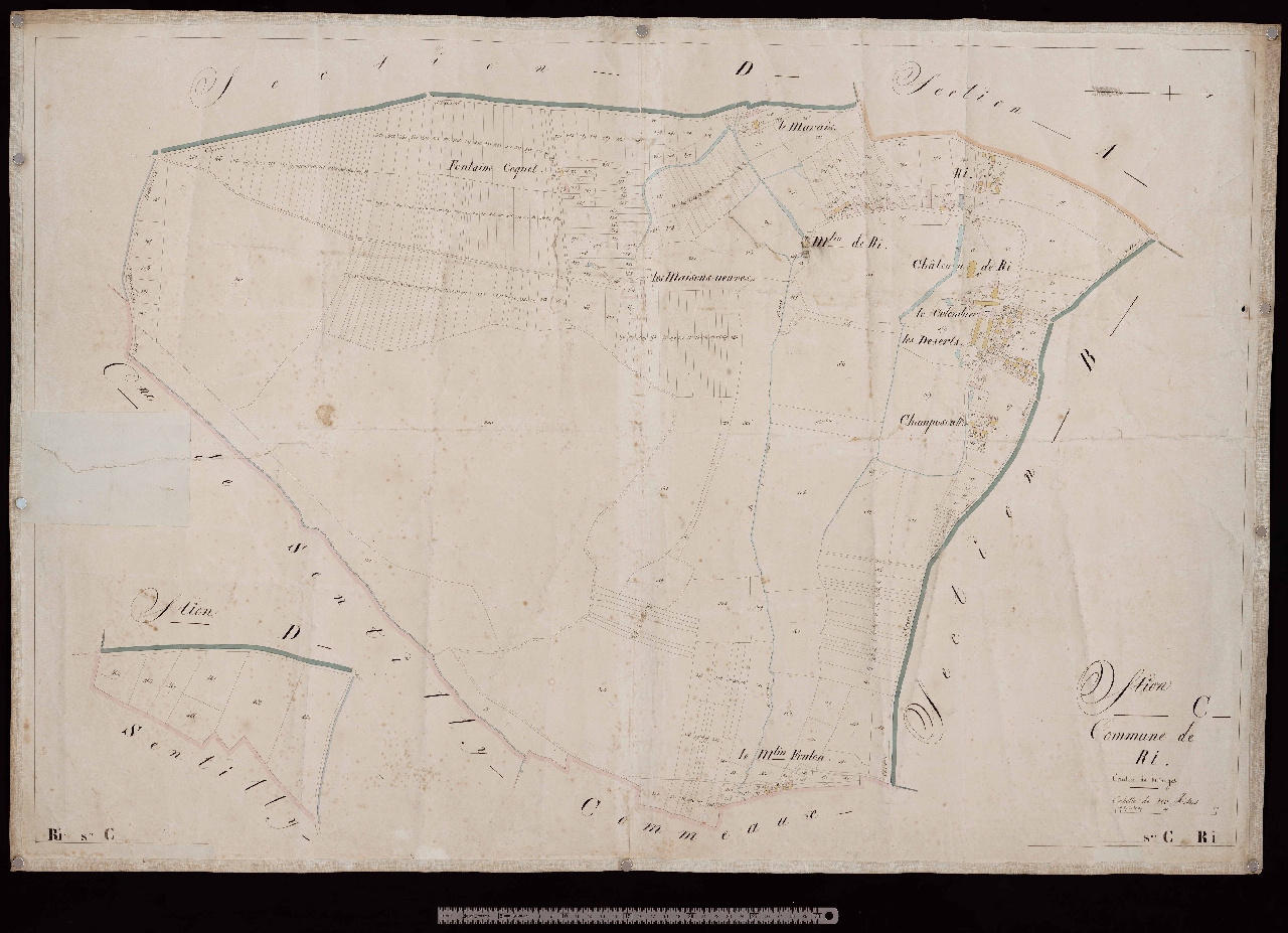 Section C