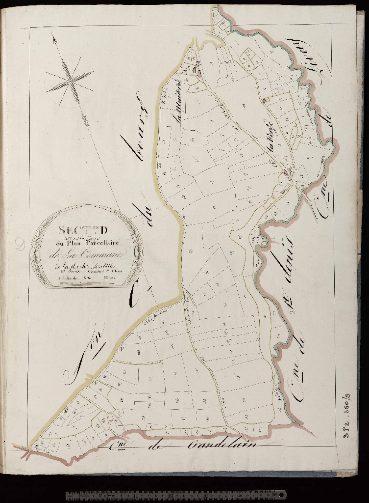 Section D