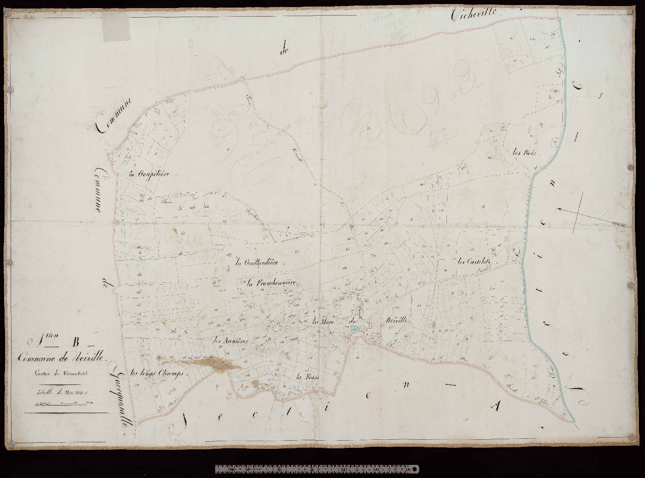 Section B