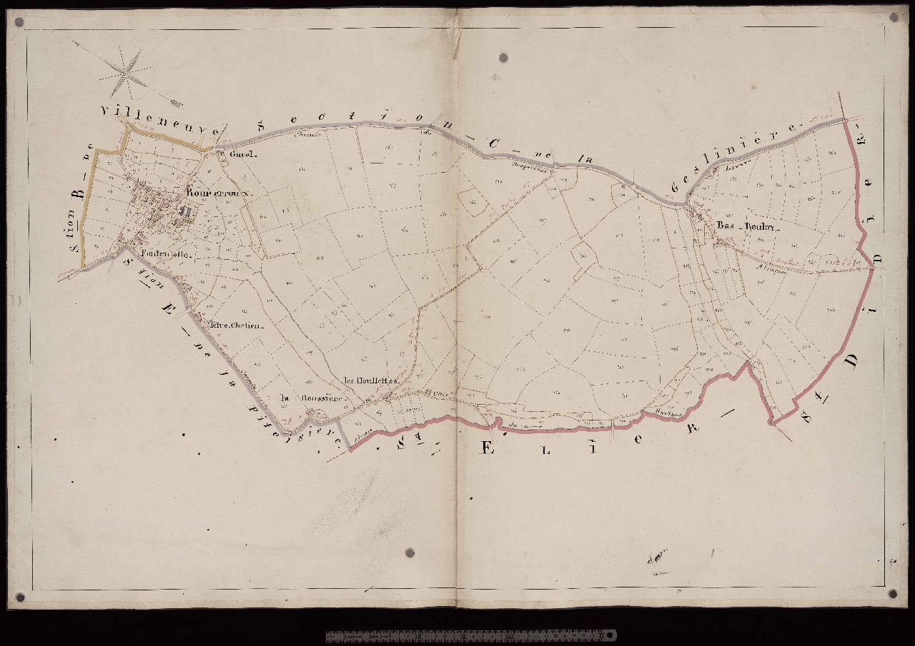 Section D