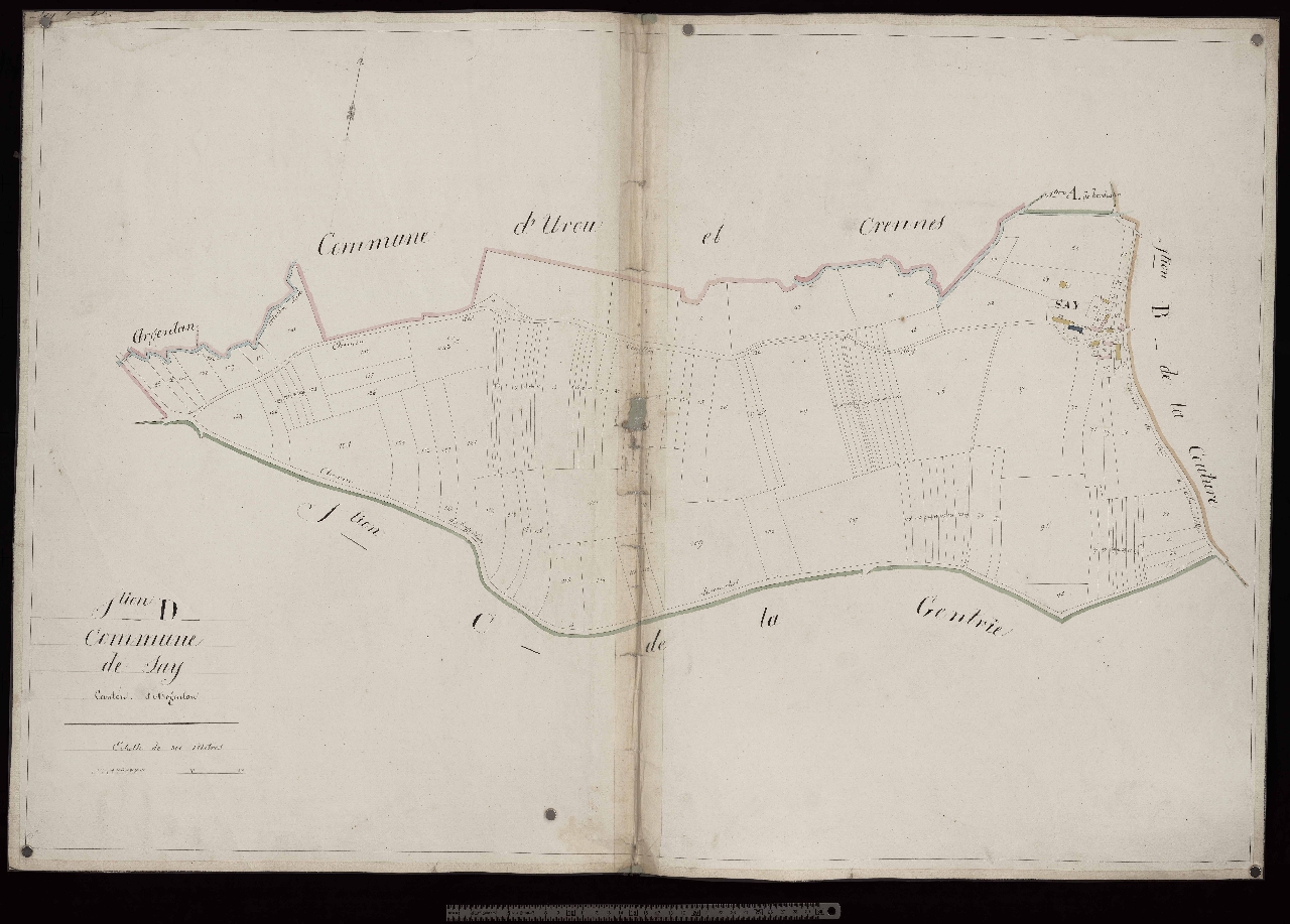 Section D