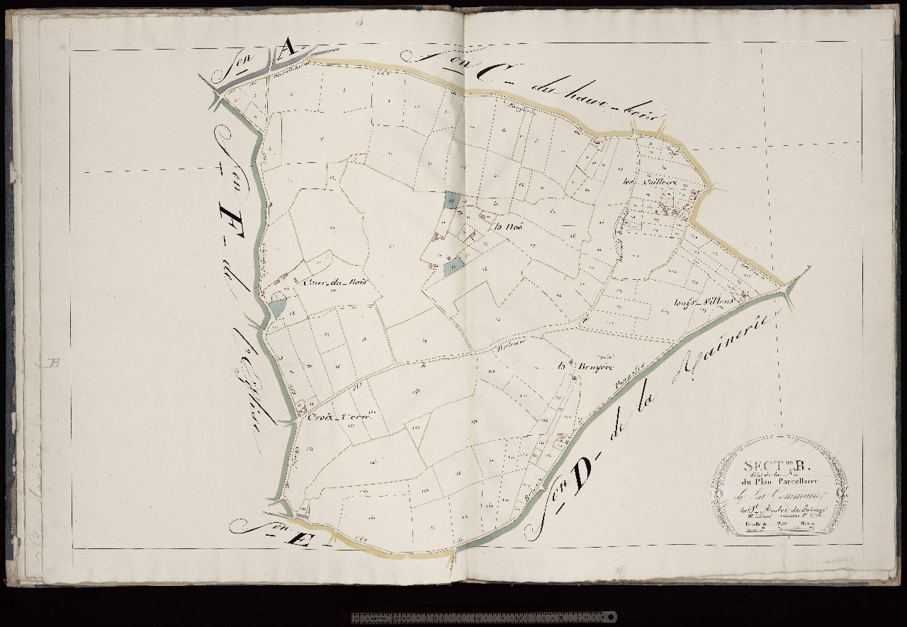 Section B