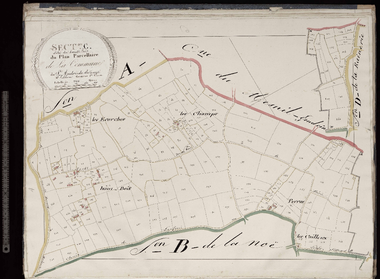 Section C