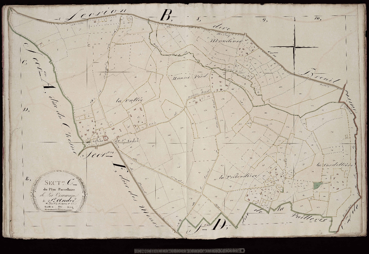 Section C