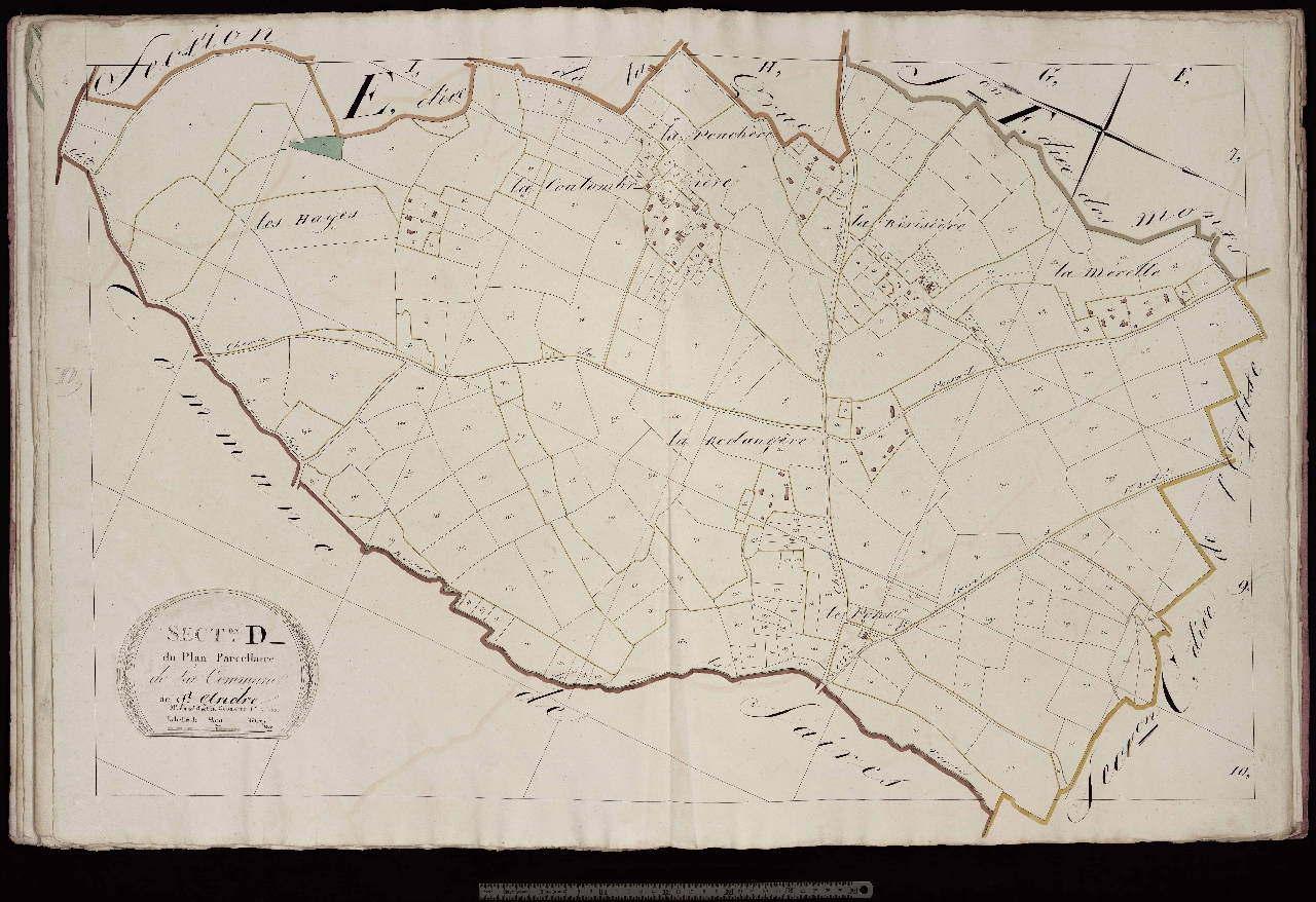 Section D