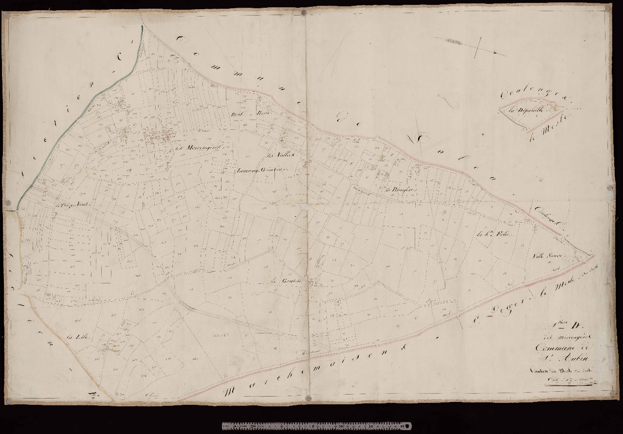 Section D