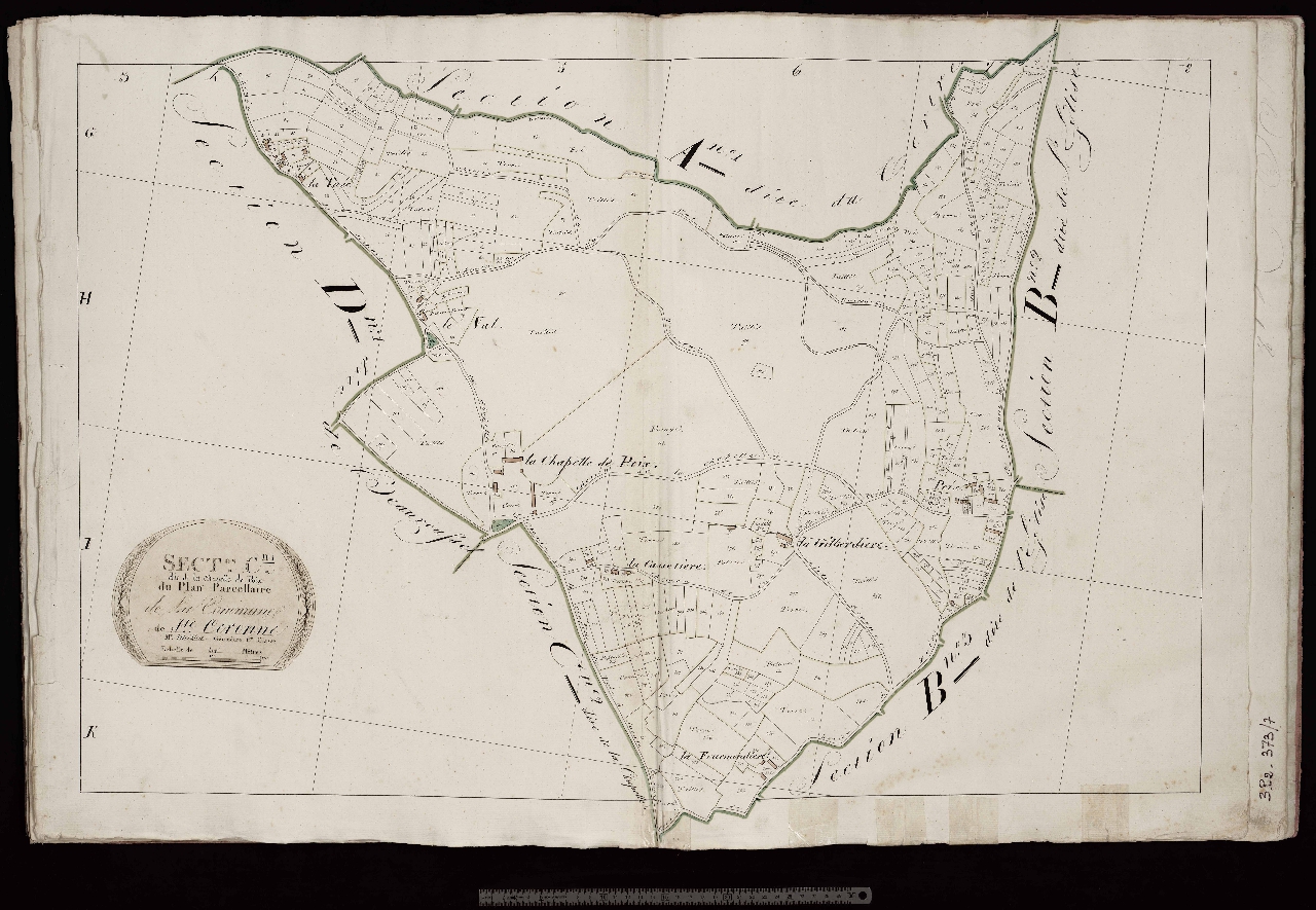 Section C1