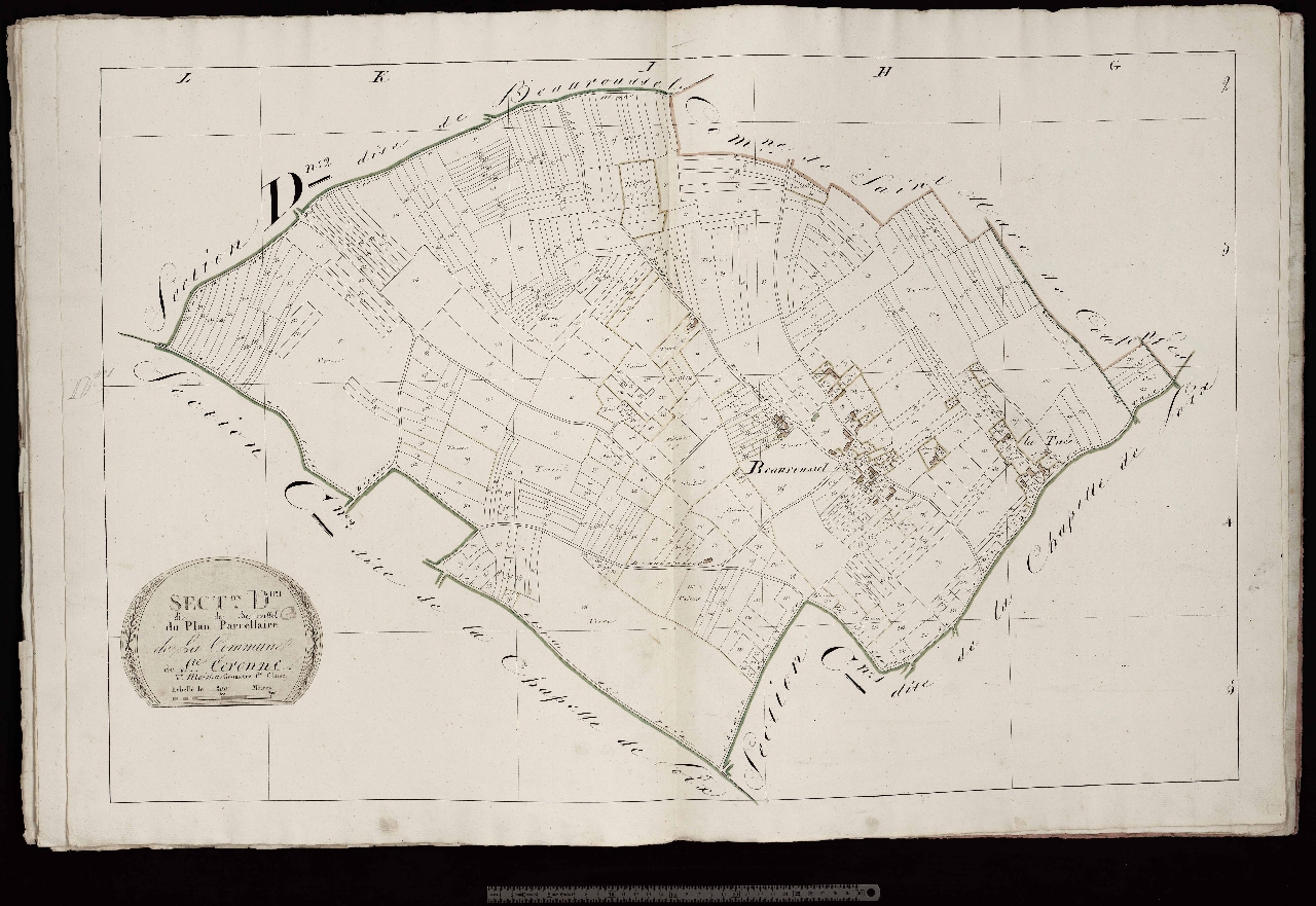 Section D1