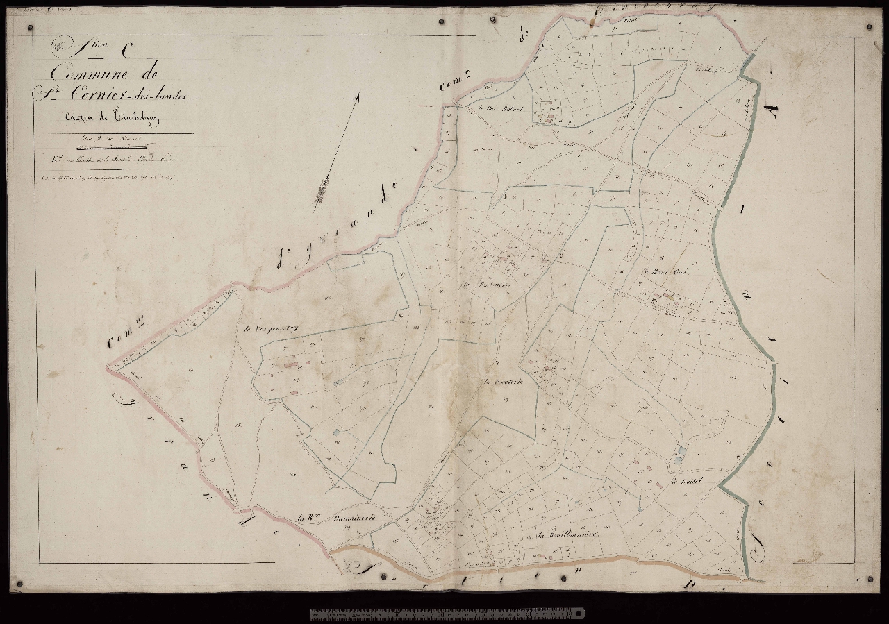 Section C
