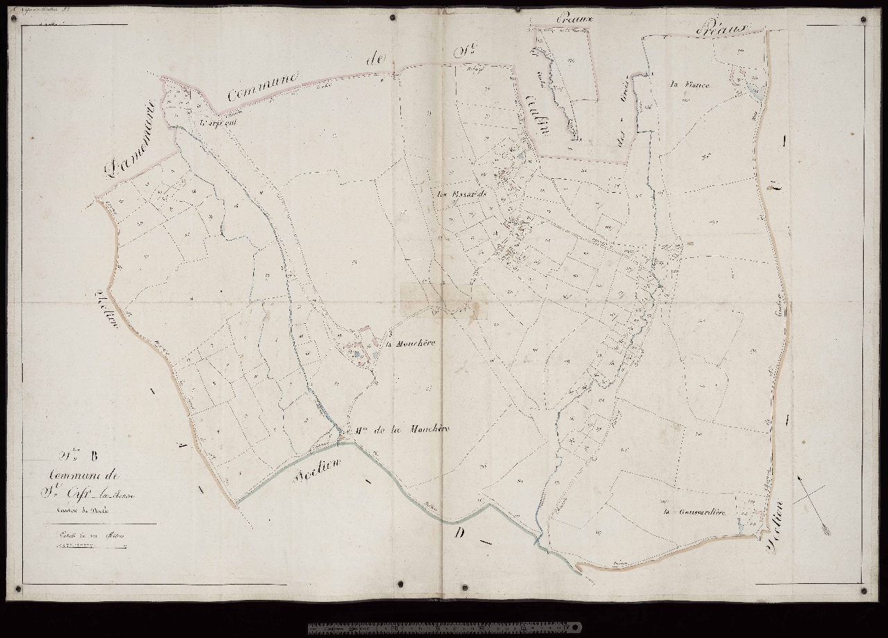 Section B