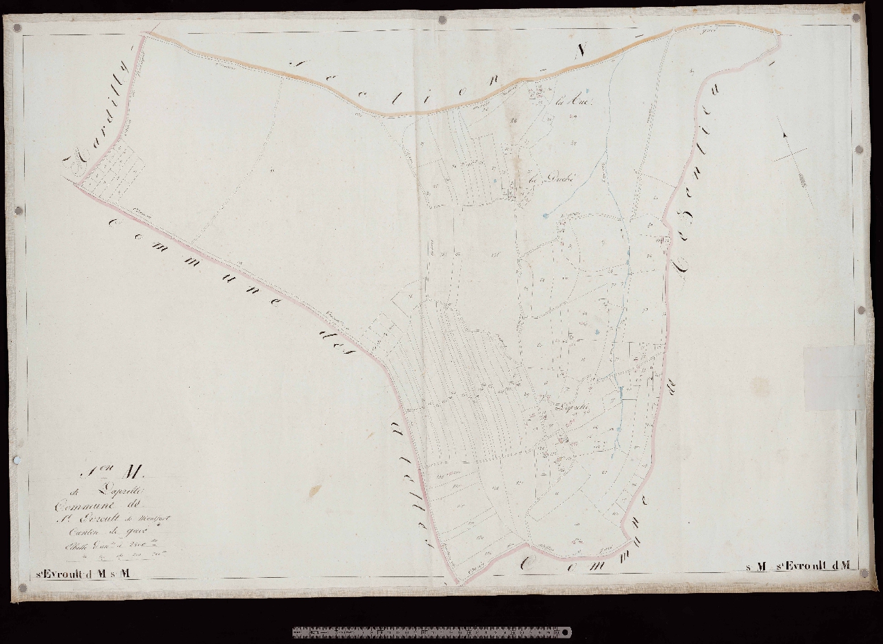 Section M