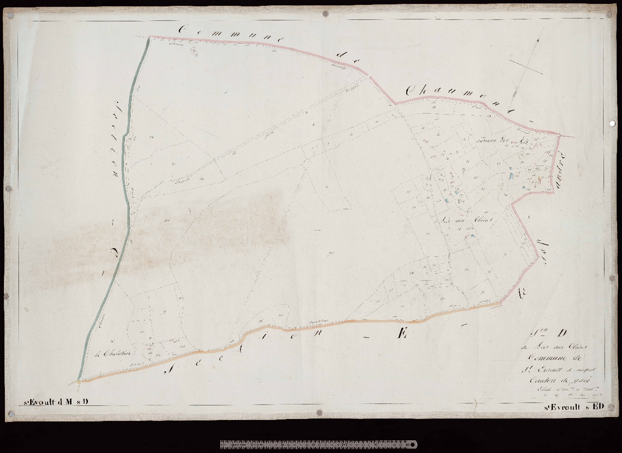 Section D