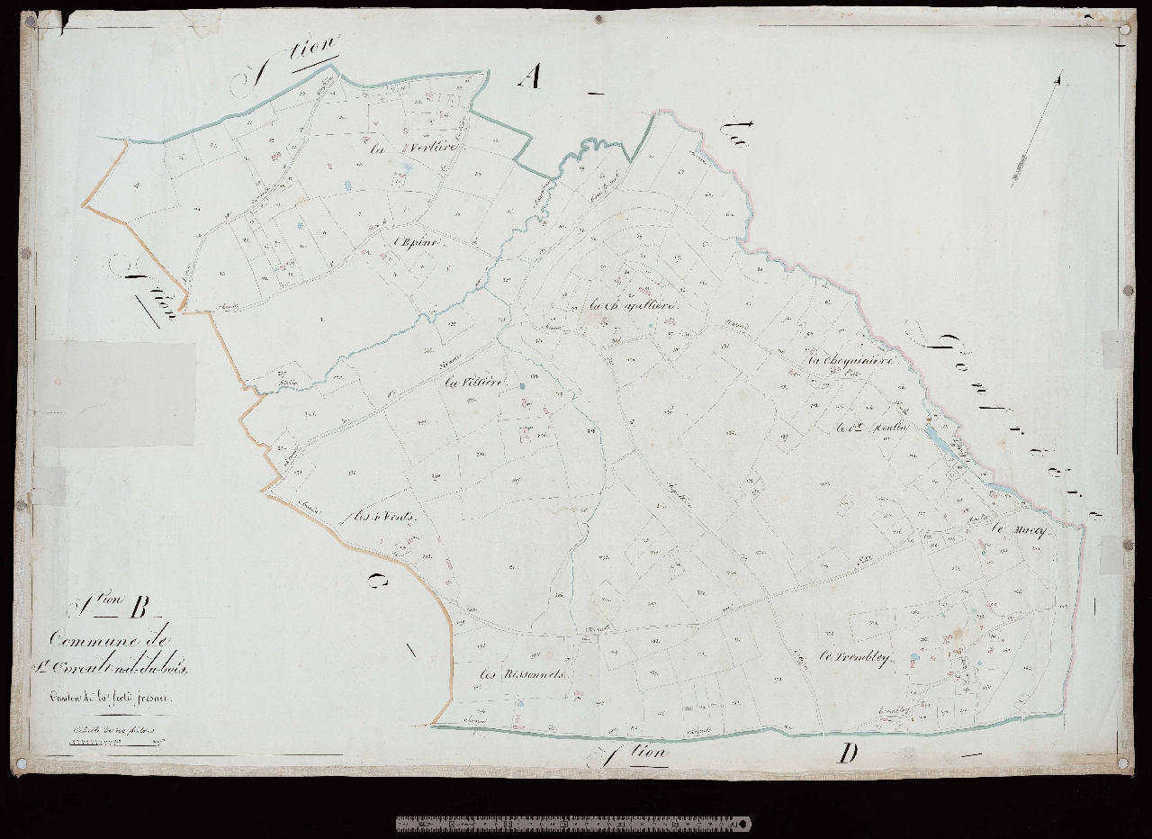 Section B