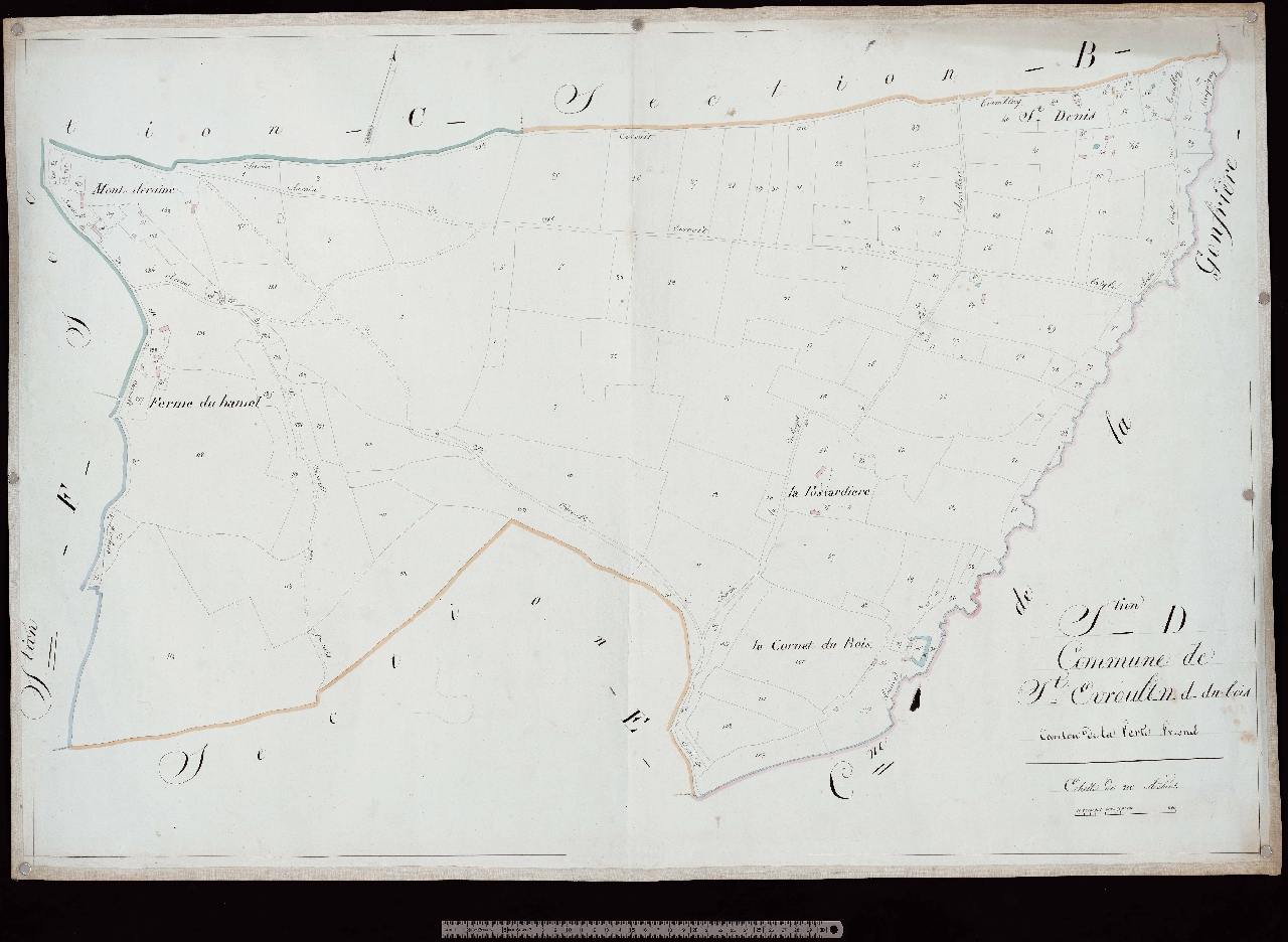 Section D