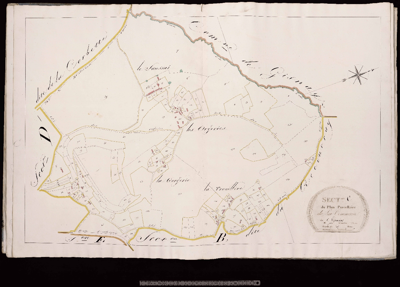 Section C