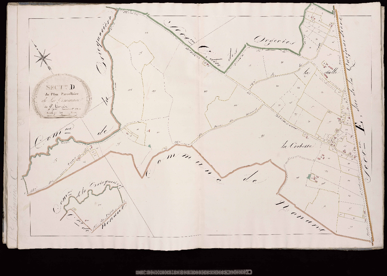 Section D