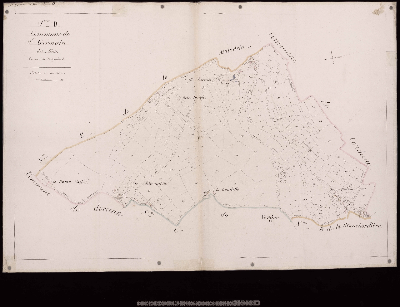 Section D