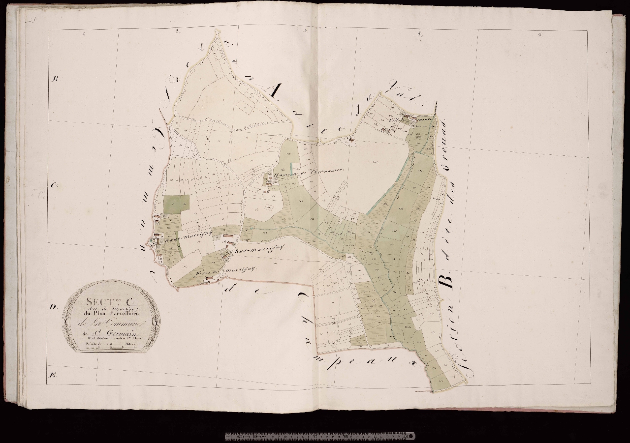 Section C