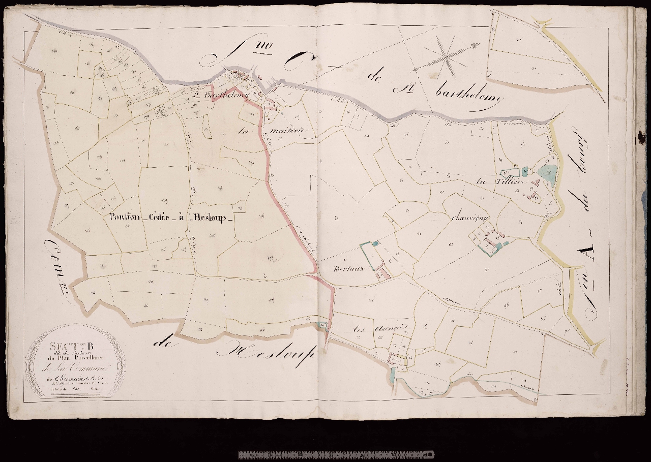 Section B