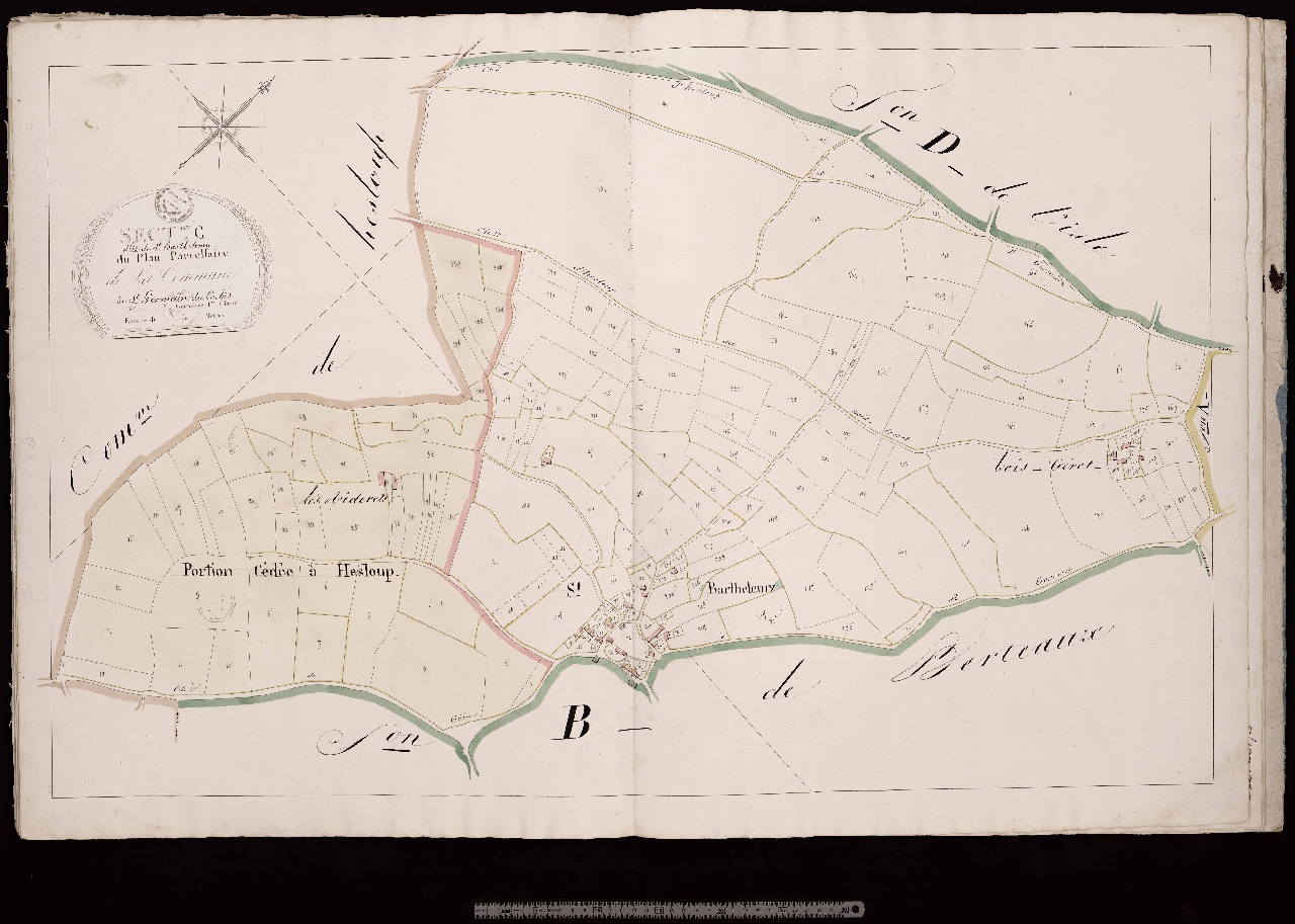 Section C