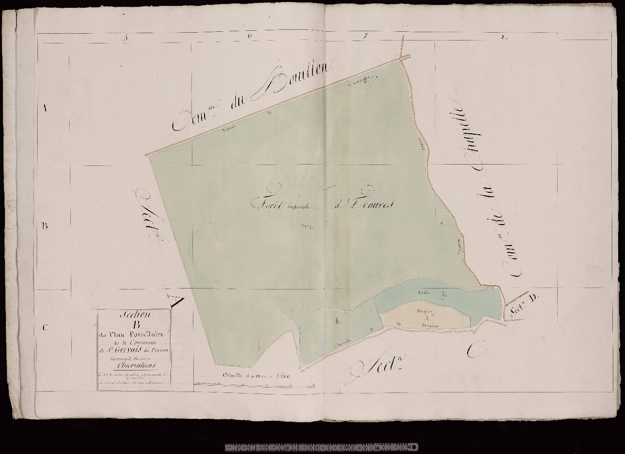 Section B