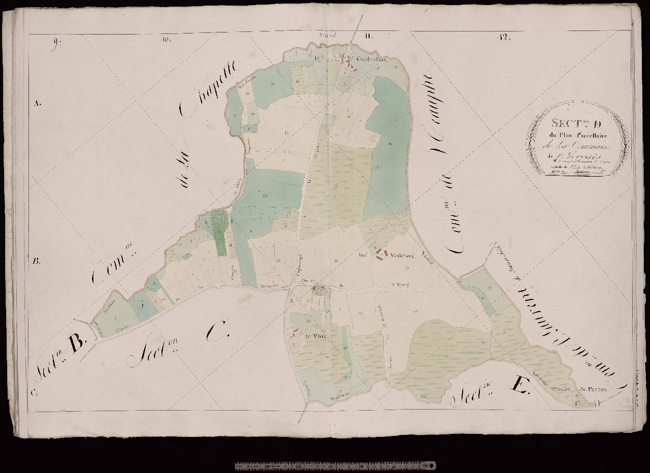 Section D