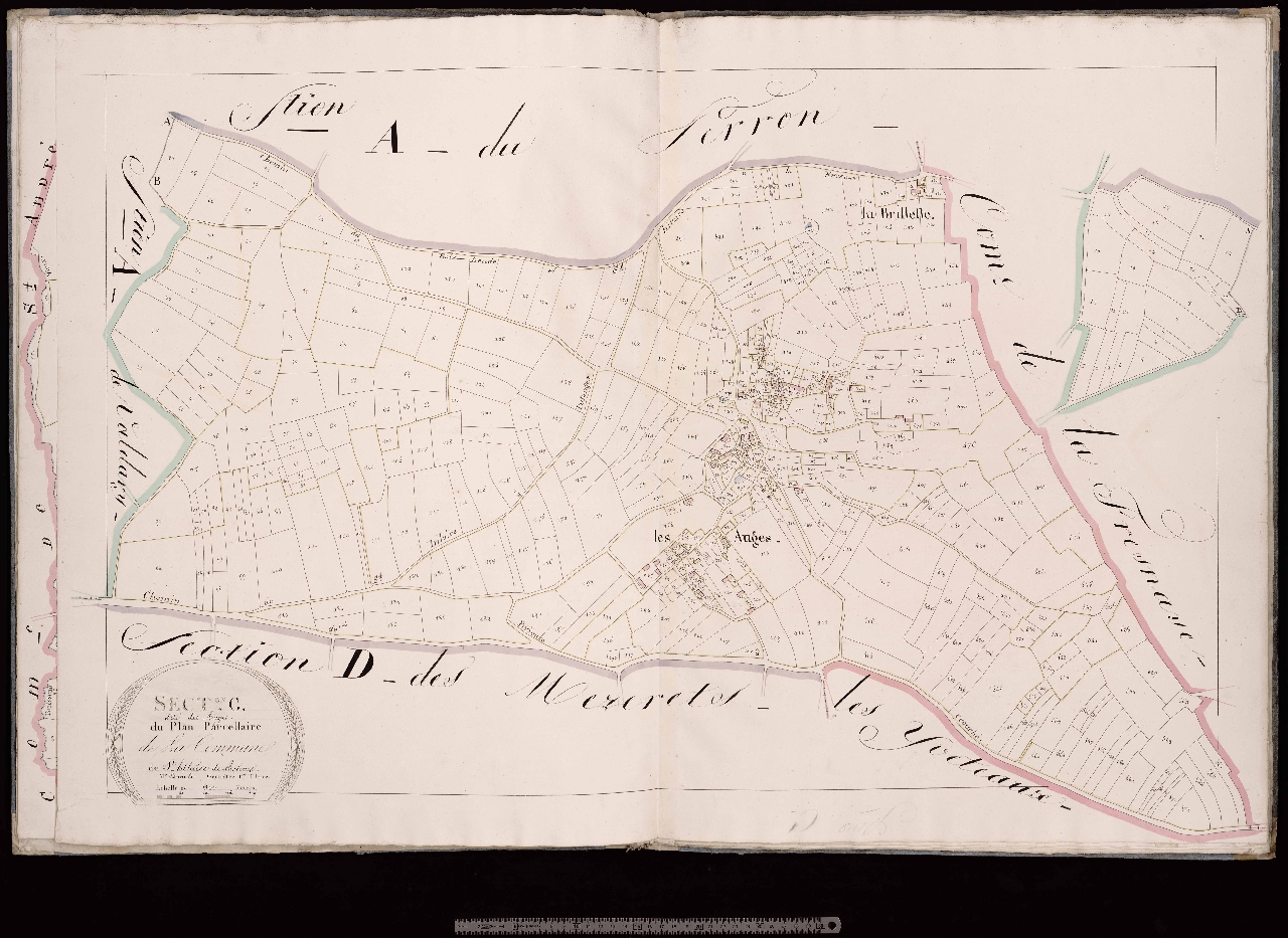Section C