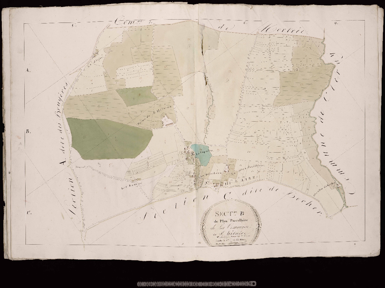 Section B
