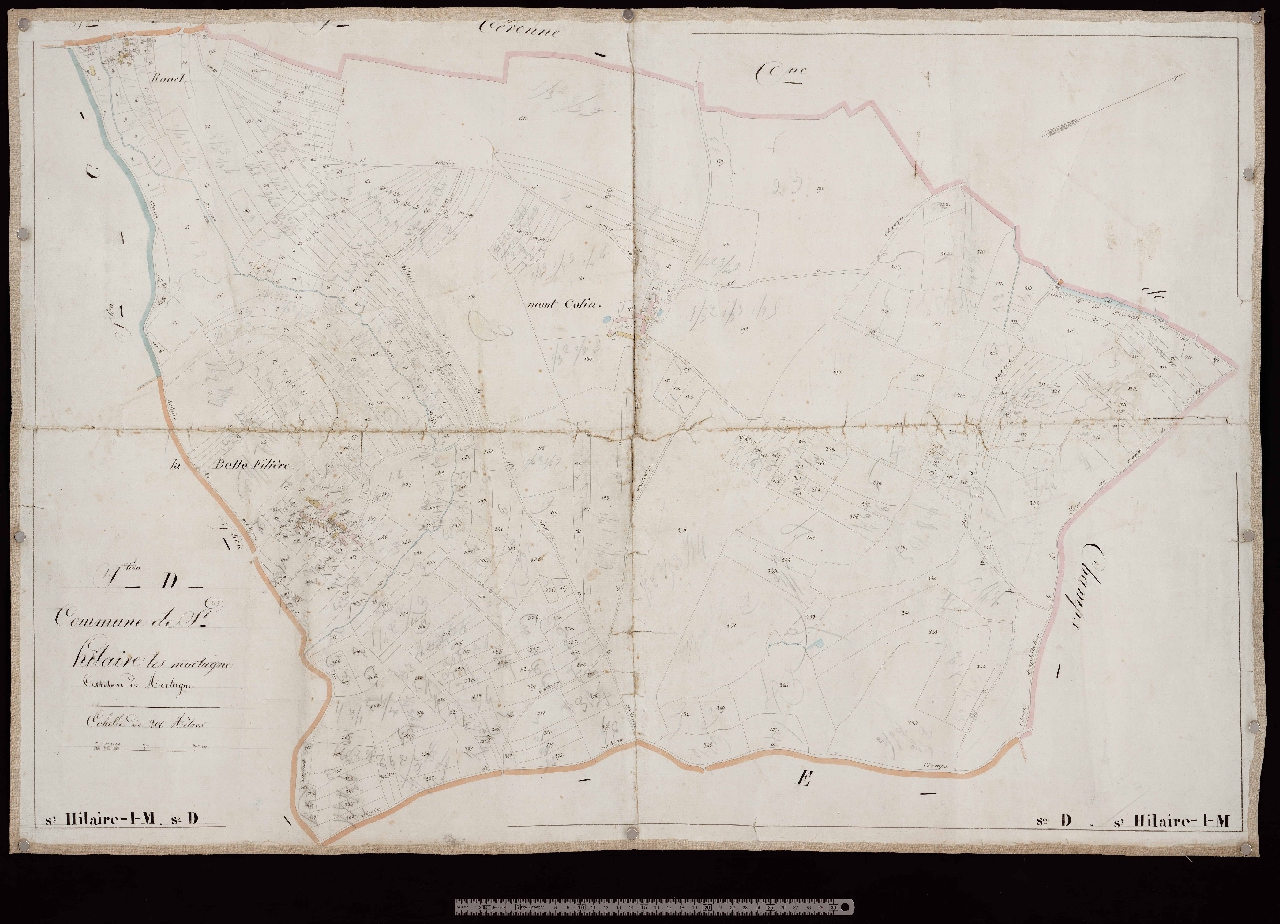 Section D