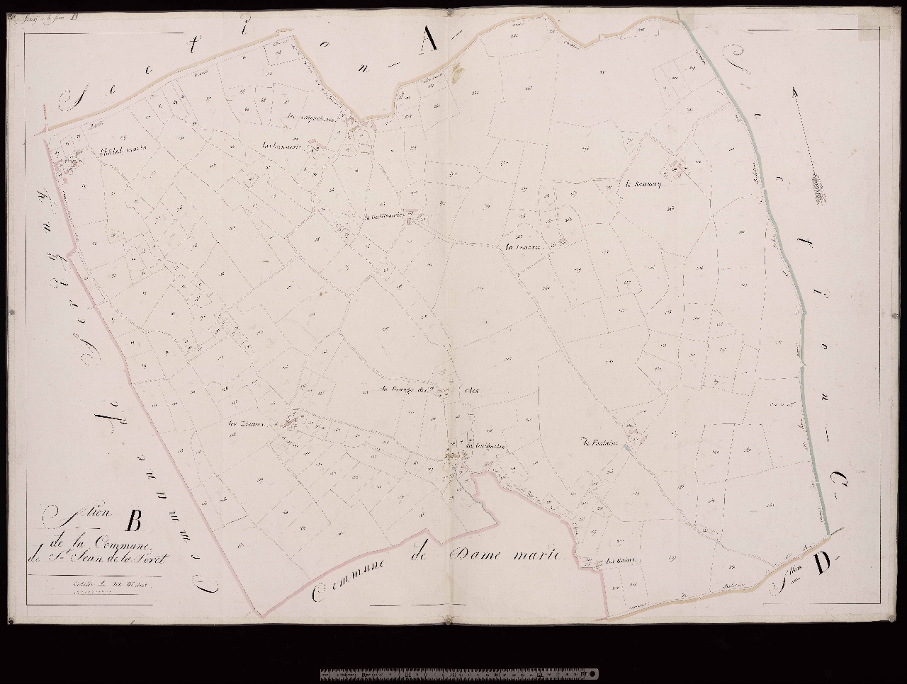 Section B