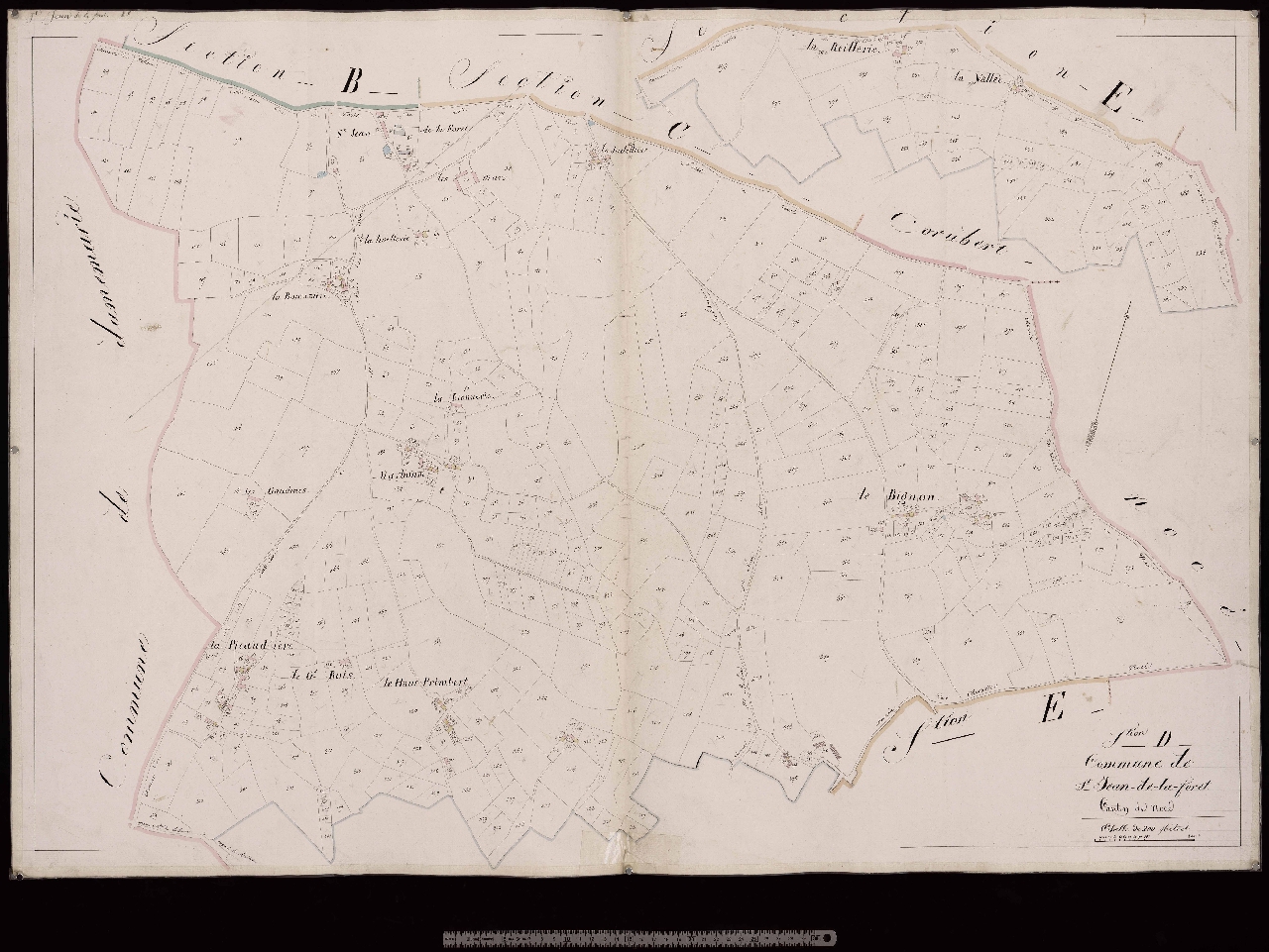 Section D
