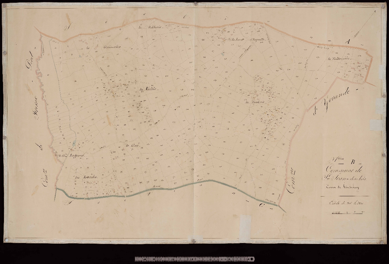 Section B