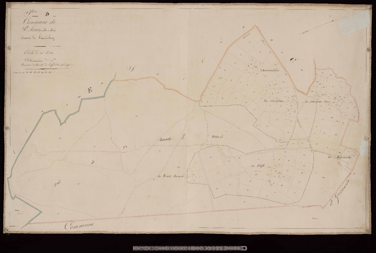 Section D