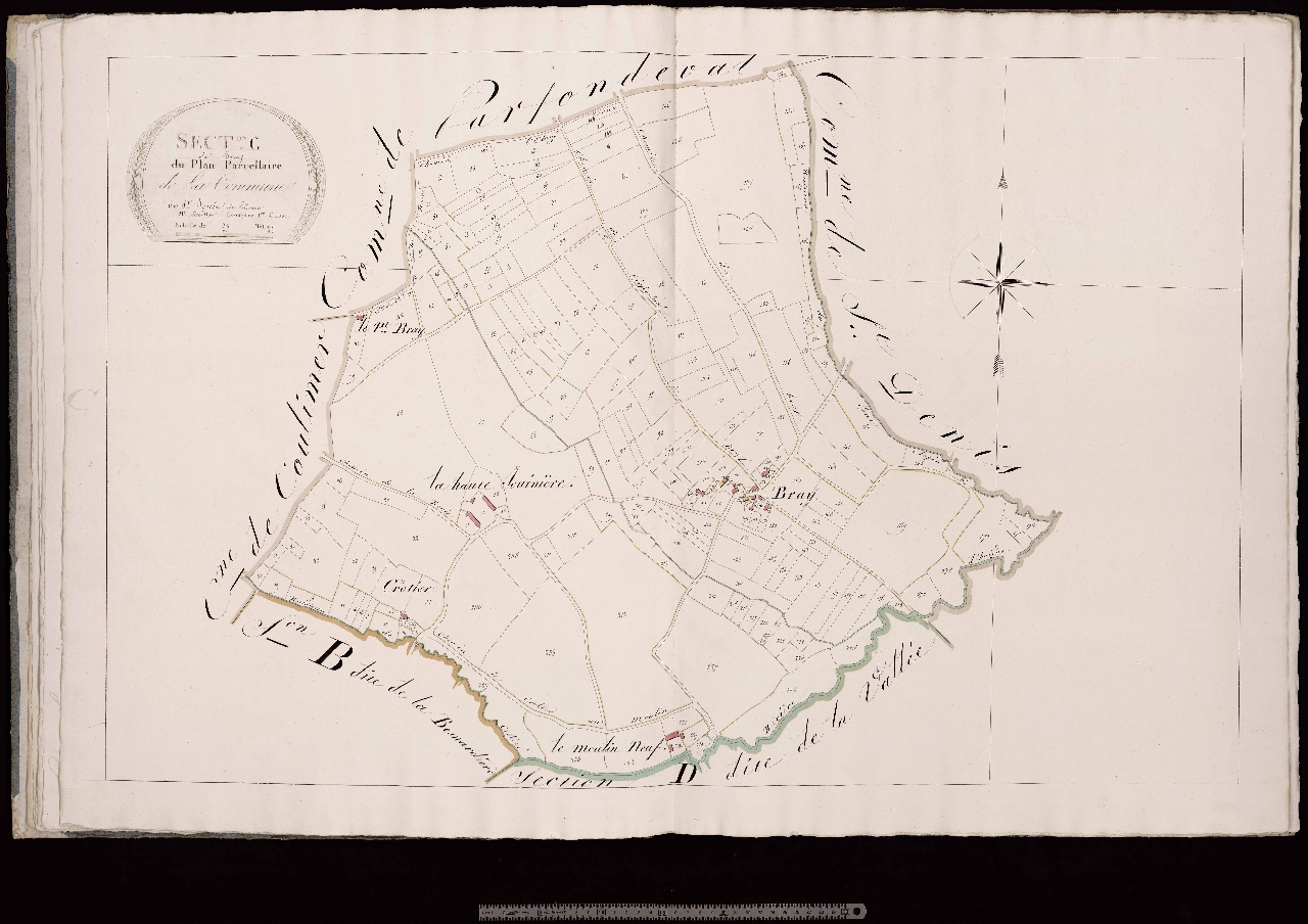Section C