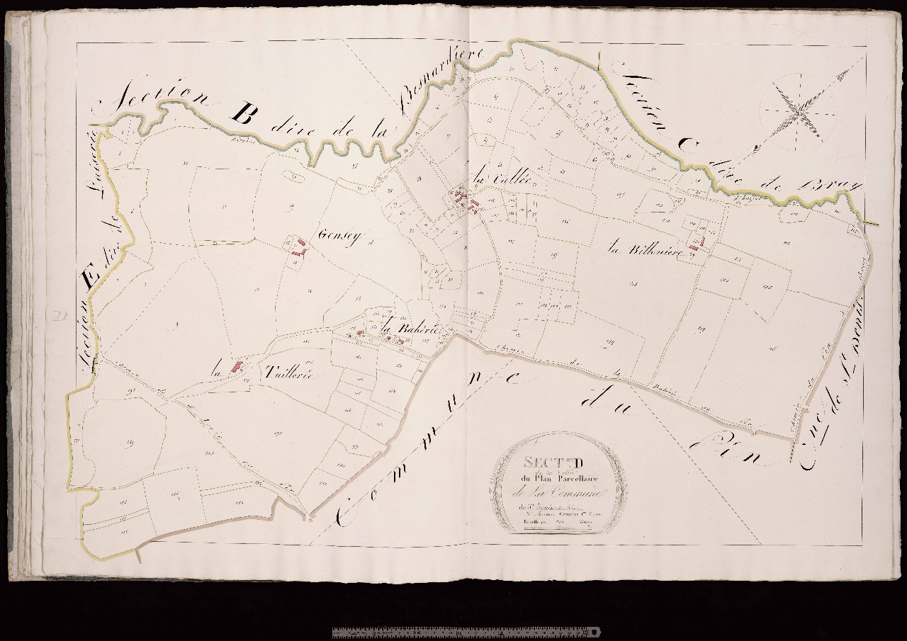 Section D