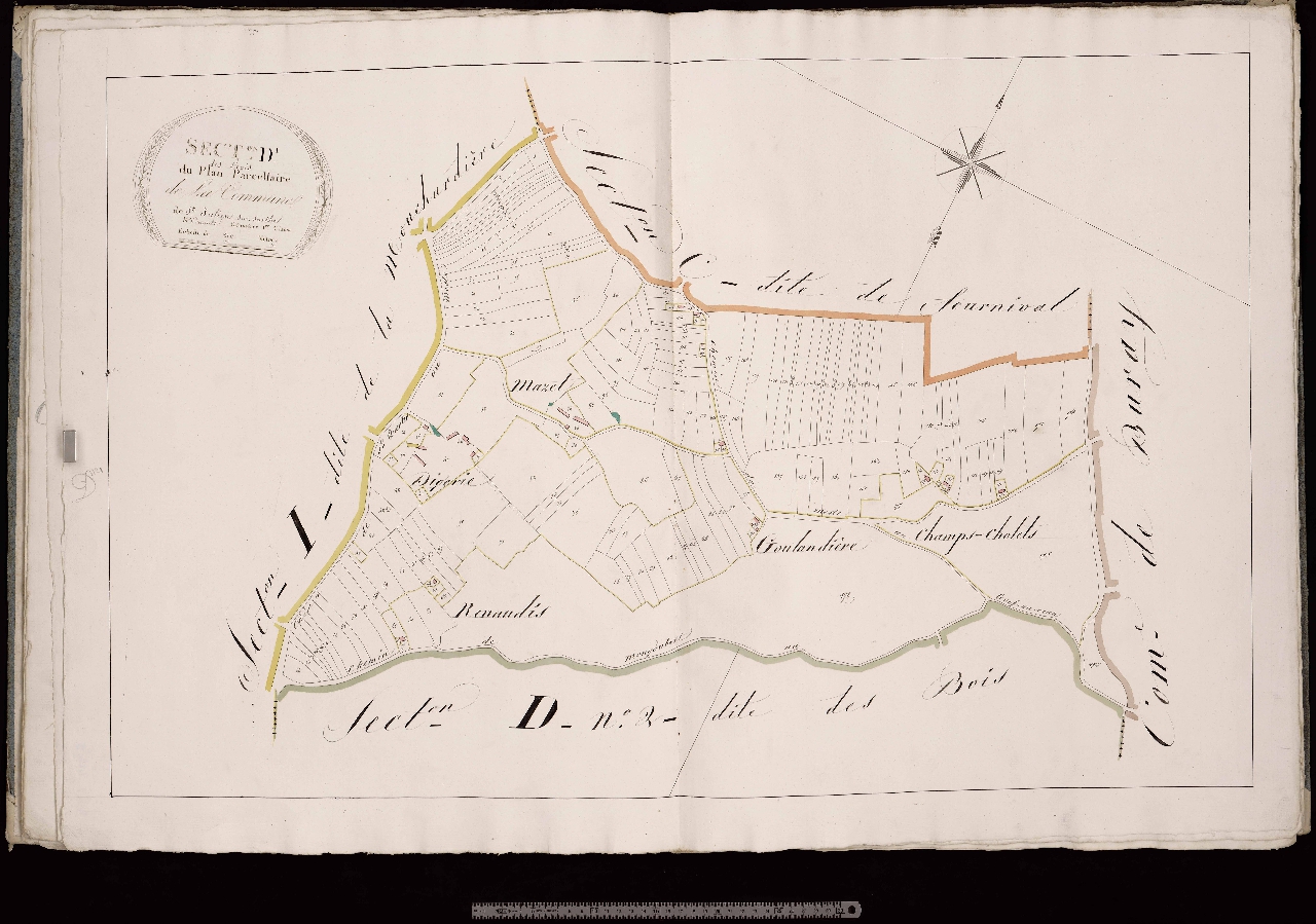 Section D1