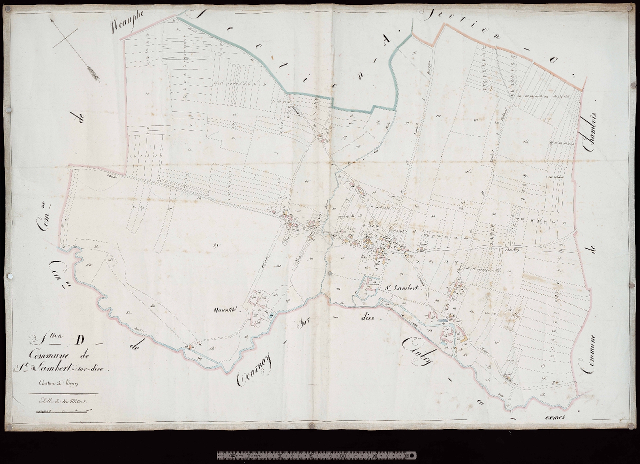 Section D
