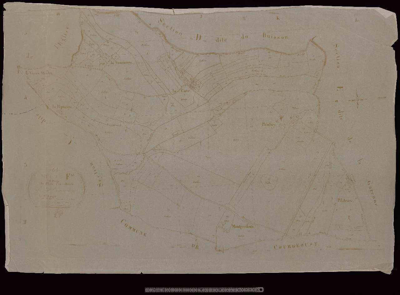 Section F