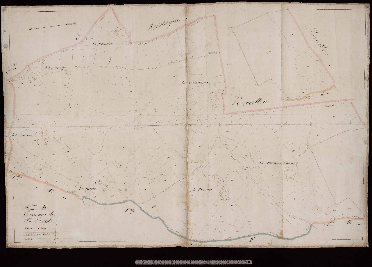 Section D