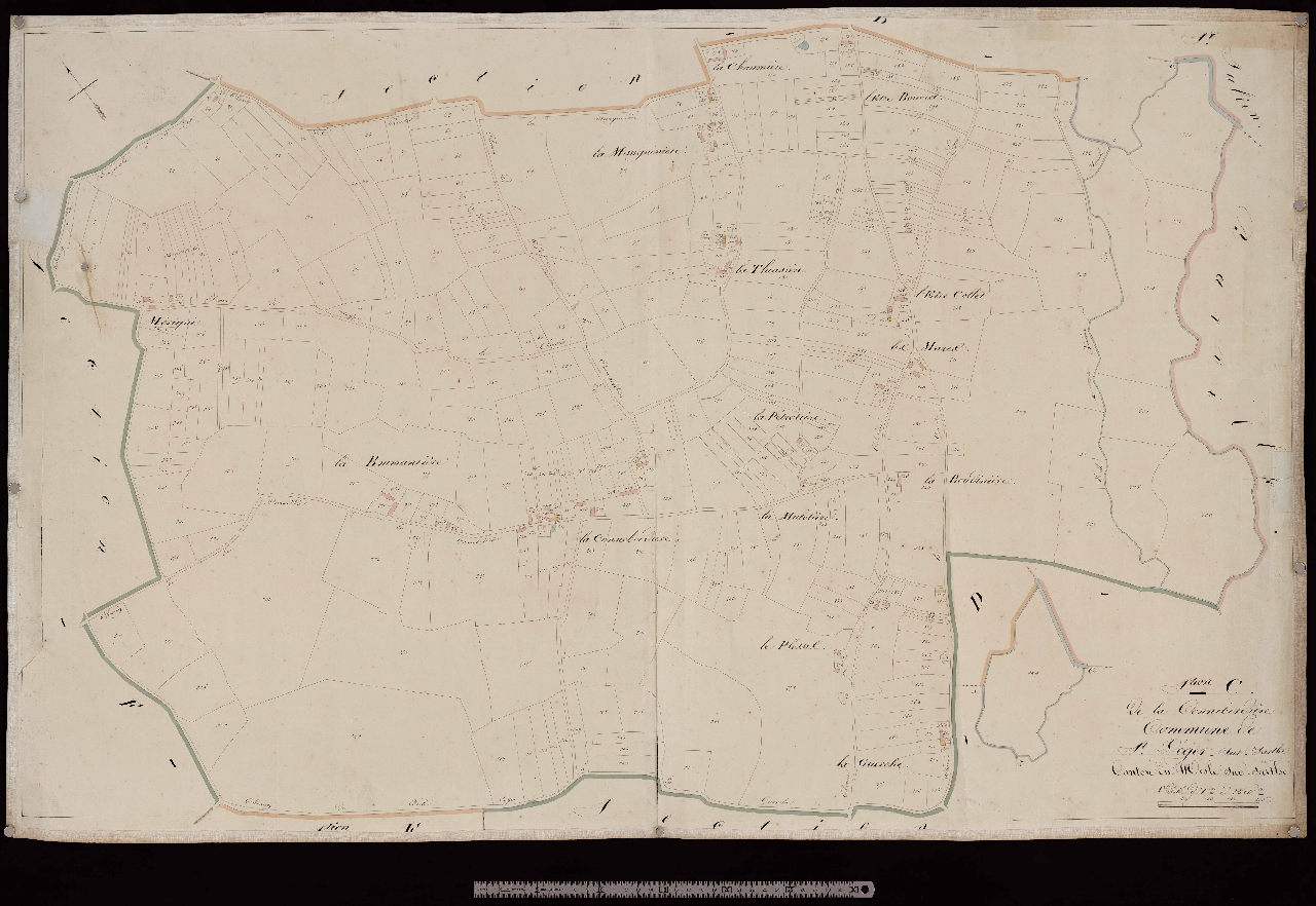 Section C