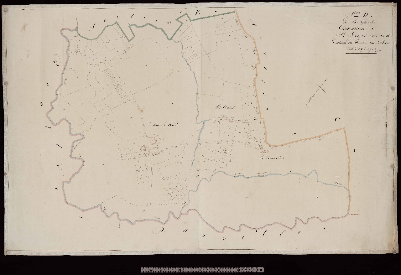 Section D