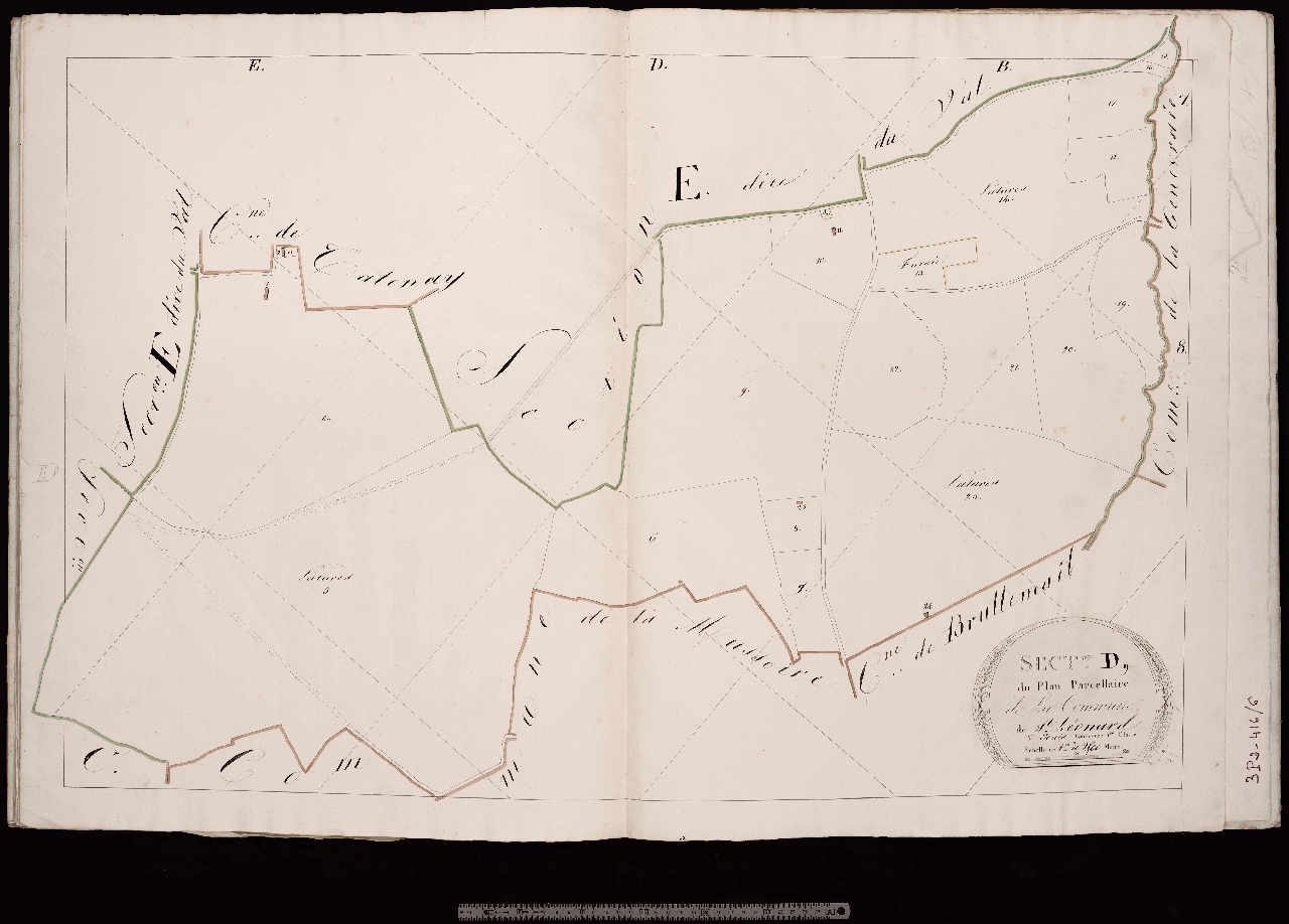Section D